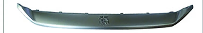 FRONT BUMPER WHISKER TRIM MOLDING