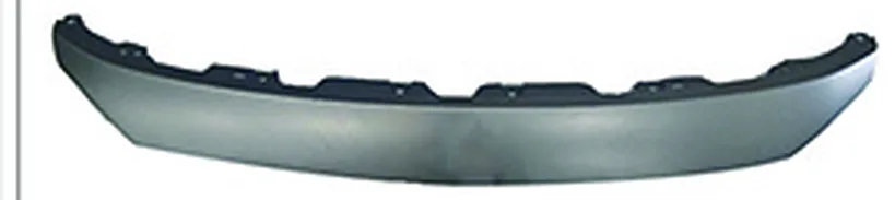 BRIGHT TRIM MOLDING ASSEMBLY
