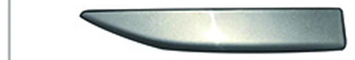 FRONT BUMPER BRIGHT TRIM MOLDING