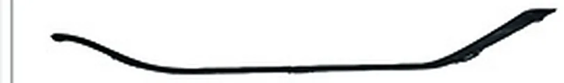REAR BUMPER CHROME MOLDING
