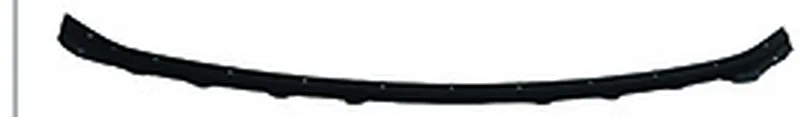 GRILLE BASE TRIM MOLDING